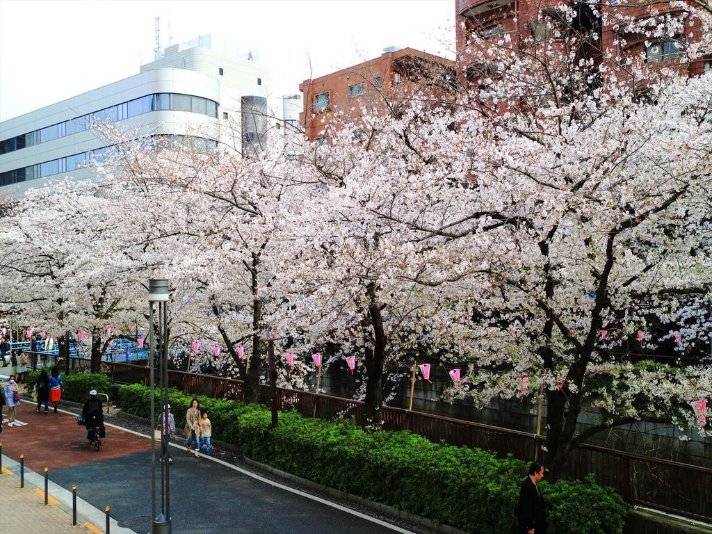 Coto Tokyo Shibuya 2 Apartment Luaran gambar